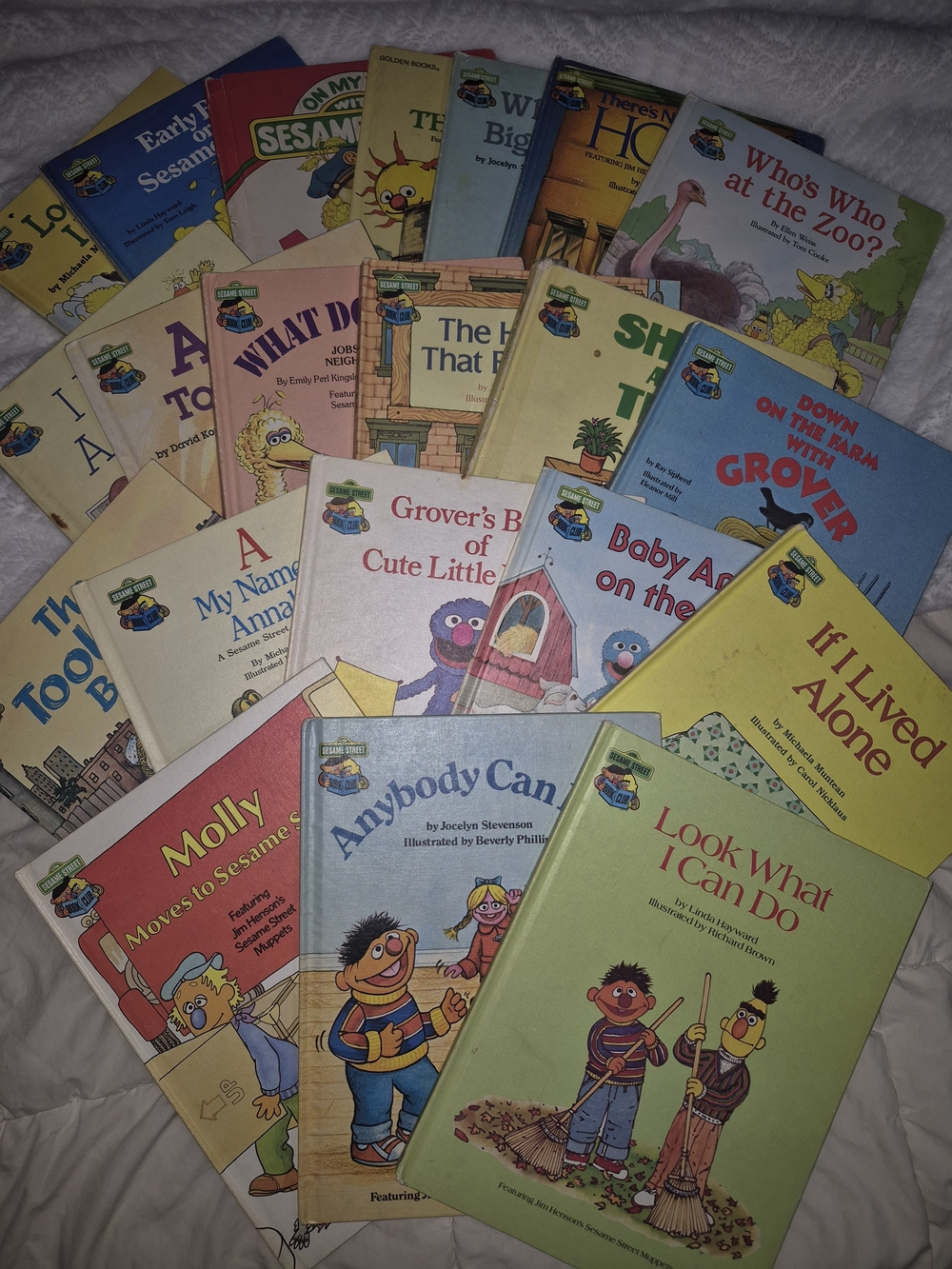 Sesame Street Kids Board Book Collection